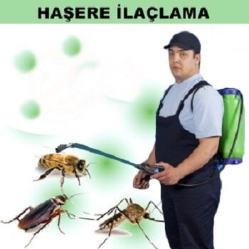 Eşme Böcek İlaçlama